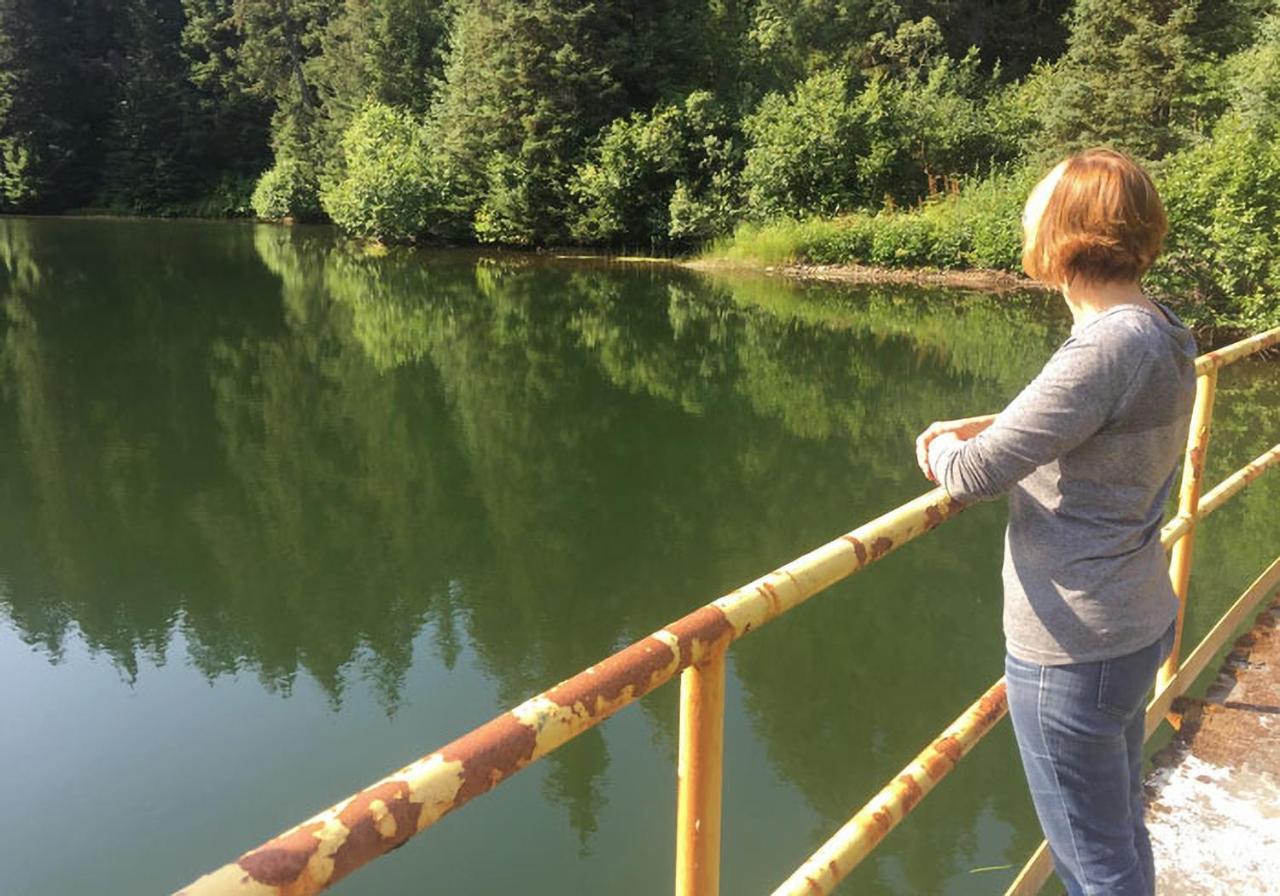 Sea Parrot Inn Seldovia Zewnętrze zdjęcie